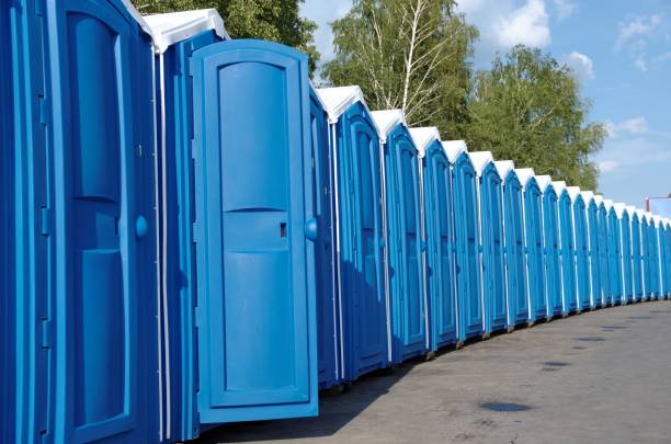 Best Sanitation services for porta potties  in Pendleton, IN